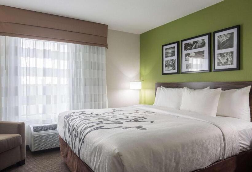 스탠다드 룸 킹사이즈 침대, Sleep Inn & Suites