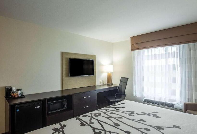 스탠다드 룸 킹사이즈 침대, Sleep Inn & Suites