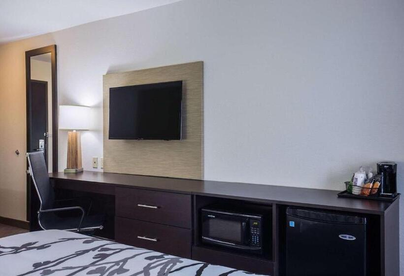 스탠다드 룸 킹사이즈 침대, Sleep Inn & Suites