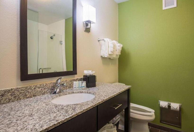 스위트 킹사이즈 침대, Sleep Inn & Suites