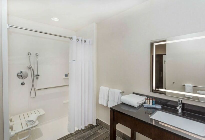 Люкс Адаптированный для Инвалидов, Wingate By Wyndham Miami Airport