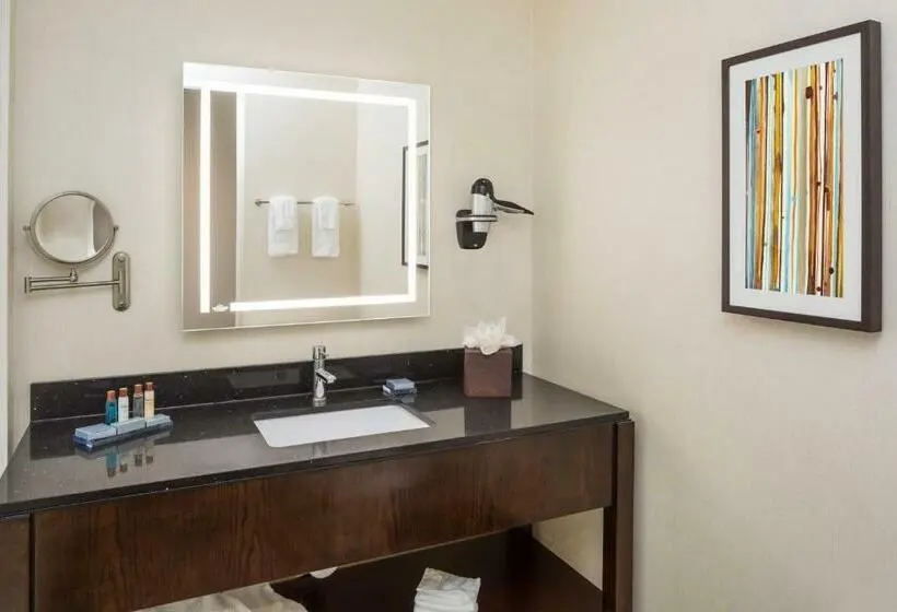 Standard-huone King-vuode, Wingate By Wyndham Miami Airport