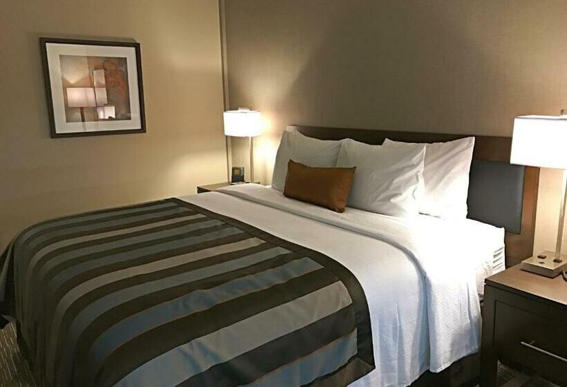 带大床的标准间, Wingate By Wyndham Miami Airport