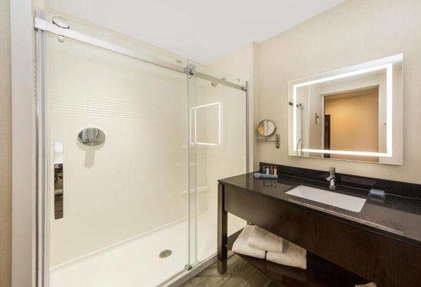 Номер Стандарт Адаптированный для Инвалидов, Wingate By Wyndham Miami Airport