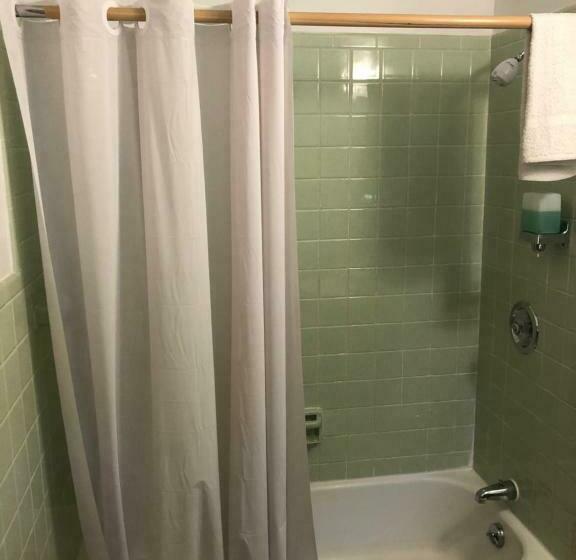 اتاق استاندارد با تخت بزرگ, Parkway Motel