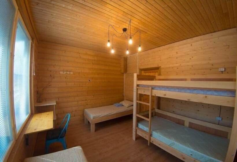 共用房间的床, Friday Wood Hostel