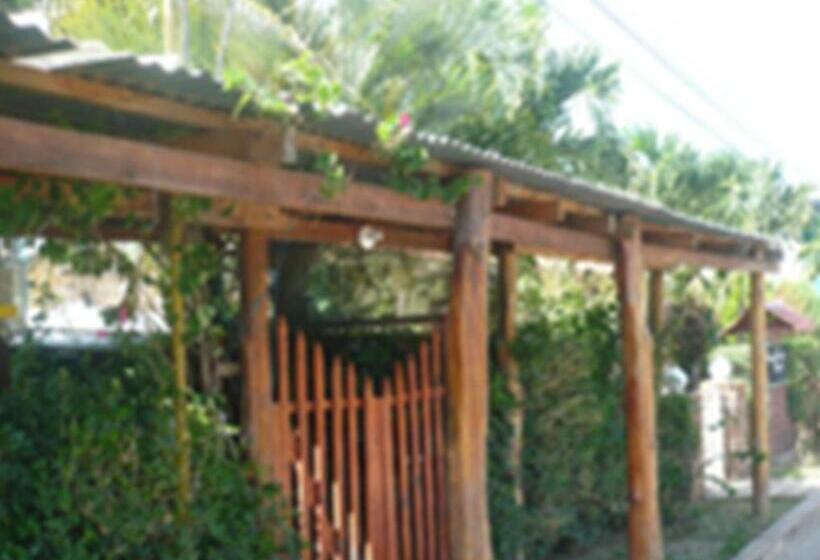 اتاق اکونومی یک تخته, Hostel Julieta