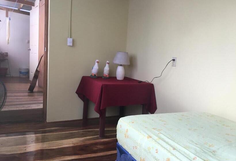 اتاق اکونومی, Hostel Julieta