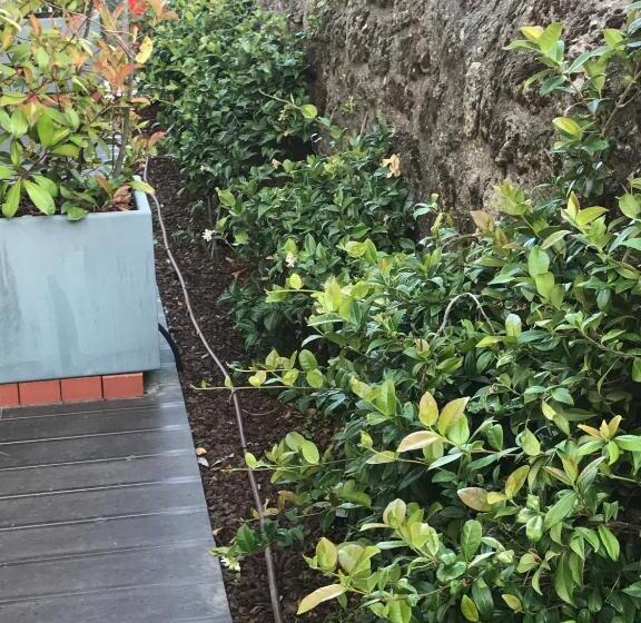 스탠다드 테라스 룸, Medieval® De Penedono