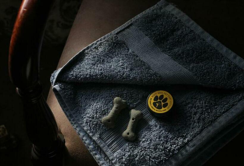 标准间, The White Hart