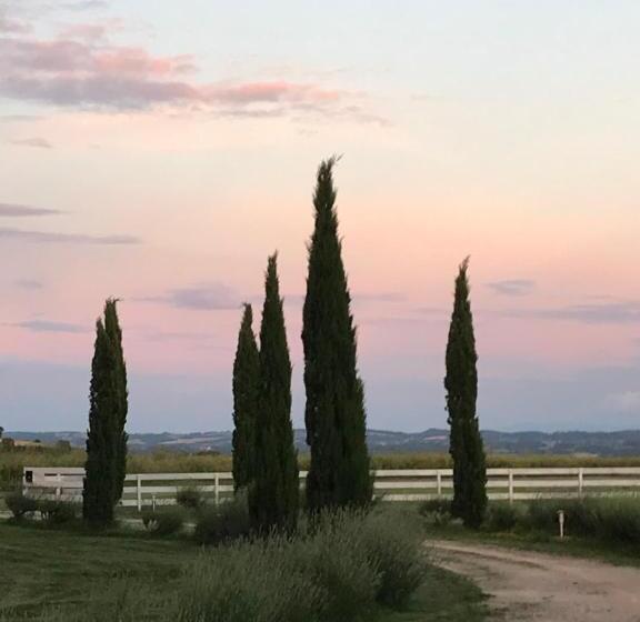 Номер Стандарт, Residence La Salamandre