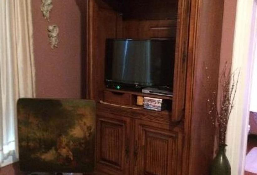 Номер Стандарт, The Jewell Of Vienna