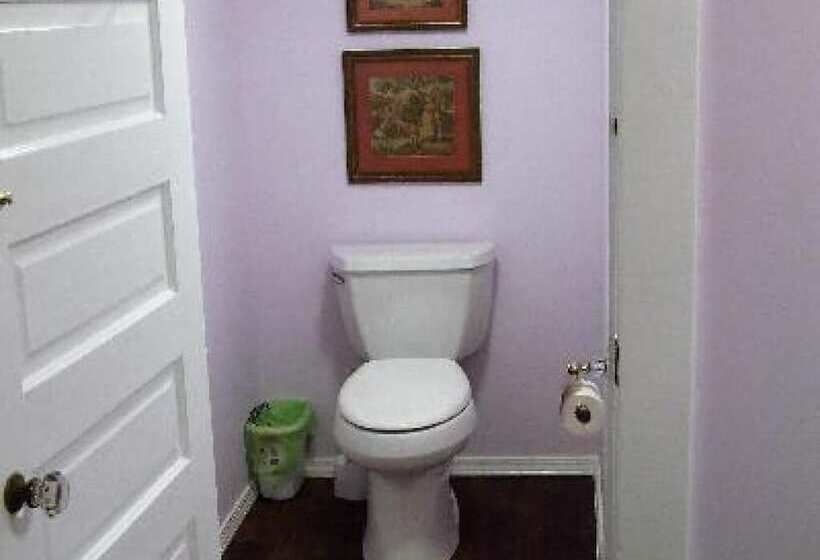 Номер Стандарт, The Jewell Of Vienna