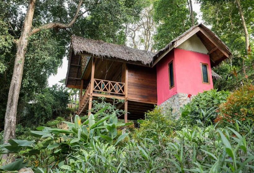 패밀리 룸 바다 전망, Casa Nemo Beach Resort & Spa