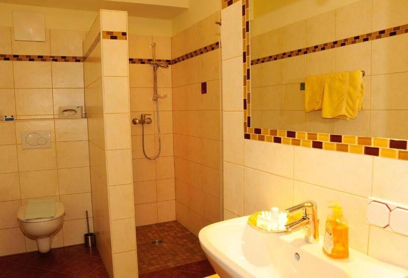 חדר בסיסי, Garni Zerza