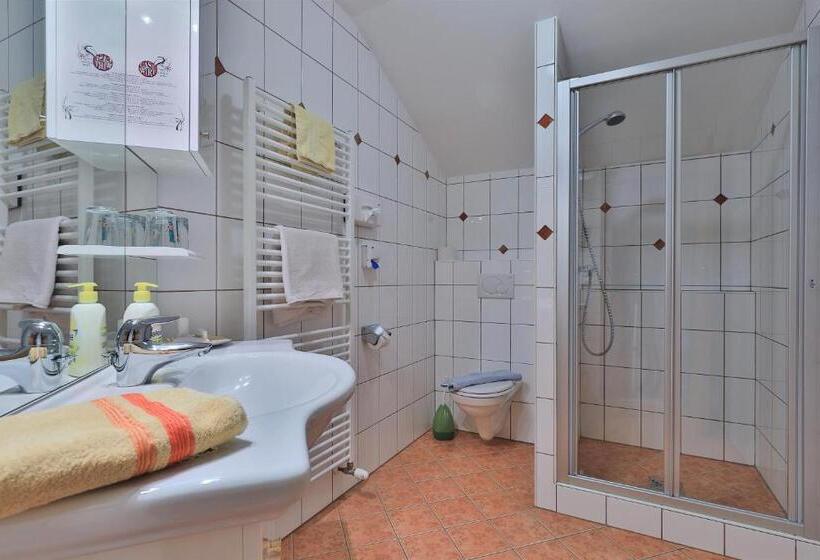 חדר סטנדרט נוף לגינה, Garni Zerza