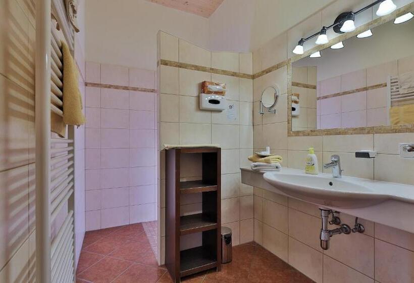 חדר משפחתי, Garni Zerza