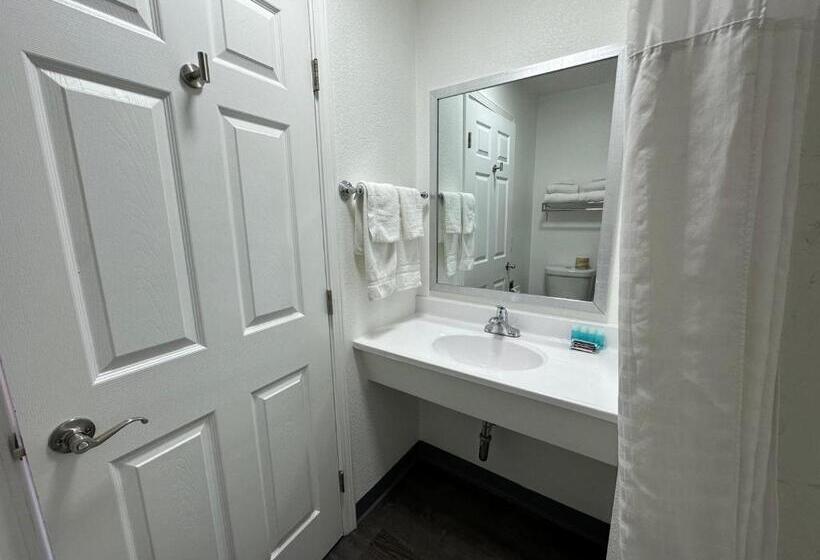 스탠다드 룸 킹사이즈 침대, Sands Motel