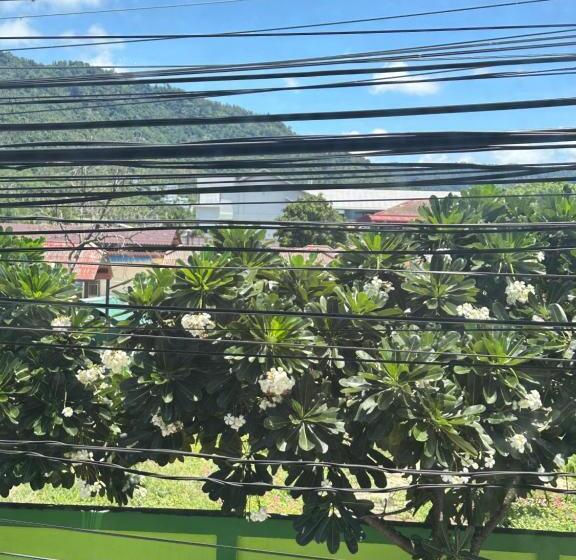 غرفة قياسية, Noahs Ark Suites