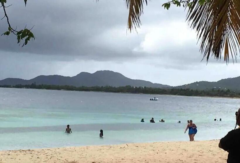 آپارتمان 1 خوابه, Apartamentos En Viques Puerto Rico