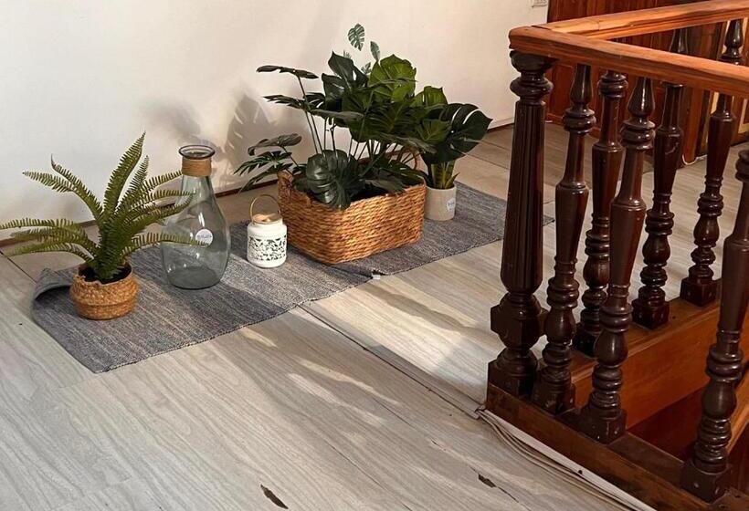 스탠다드 스튜디오, Casona Montt 522 B&b