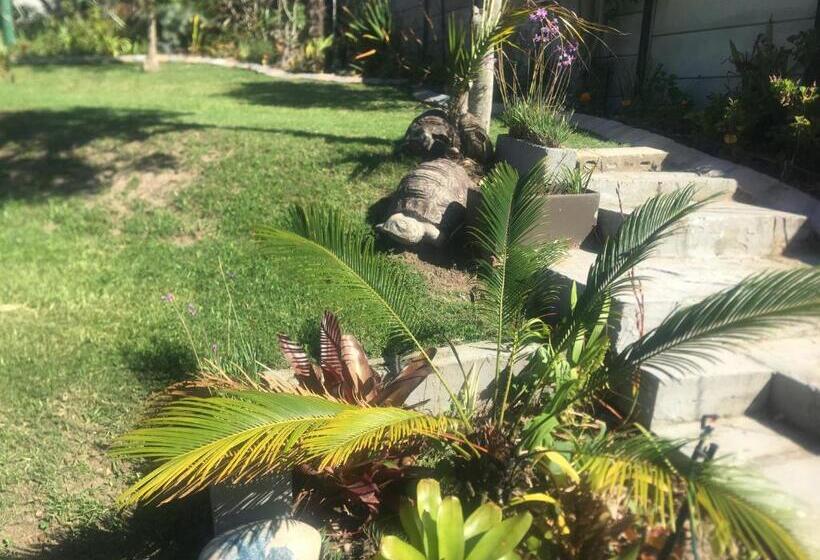 חדר סטנדרט חדר אמבטיה משותף, Derust Danabay Accomodation