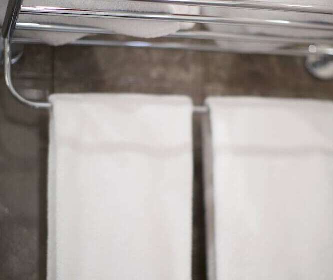 스탠다드 룸, Central Hotel Yerevan