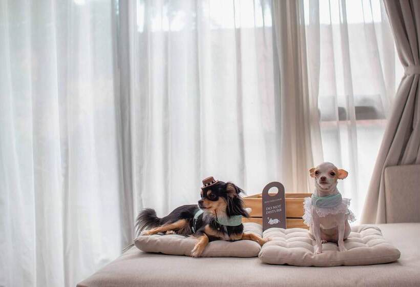 套房, Cross Vibe Pattaya Seaphere   Formerly X2 Vibe Pattaya Seaphere