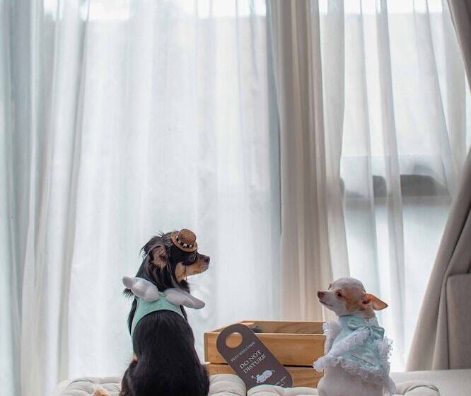 带1个卧室的豪华公寓, Cross Vibe Pattaya Seaphere   Formerly X2 Vibe Pattaya Seaphere