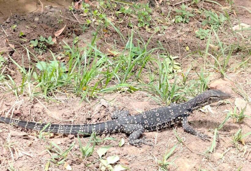 经济房, Priyanna Guest, Forest View