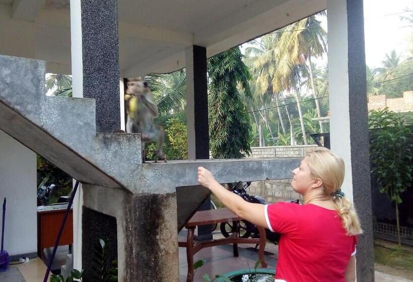 经济房, Priyanna Guest, Forest View