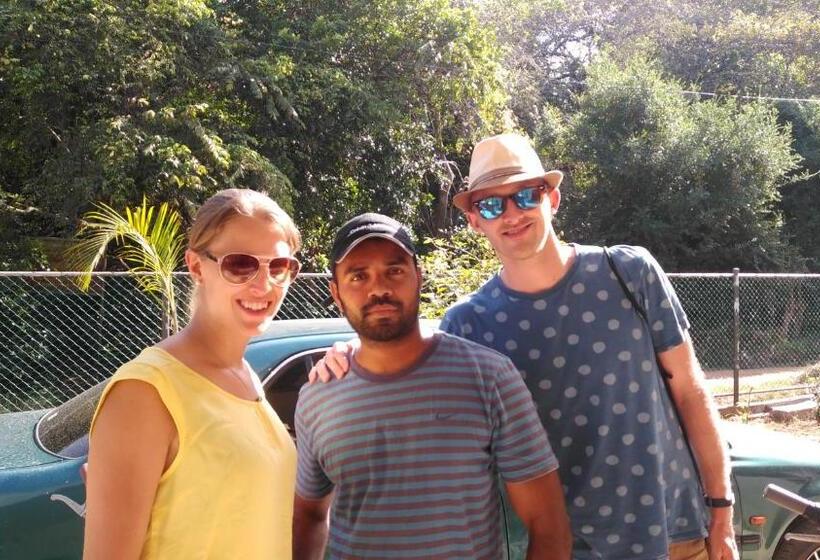 经济房, Priyanna Guest, Forest View