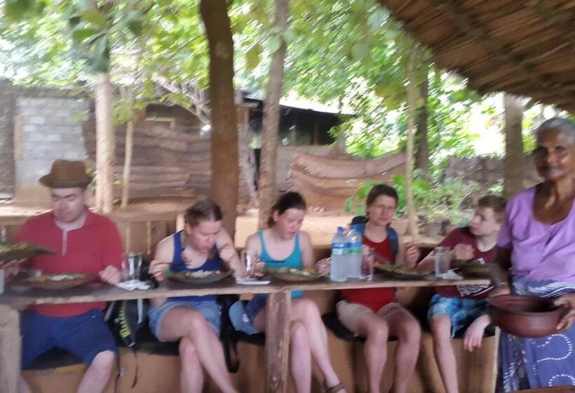 家庭间, Priyanna Guest, Forest View