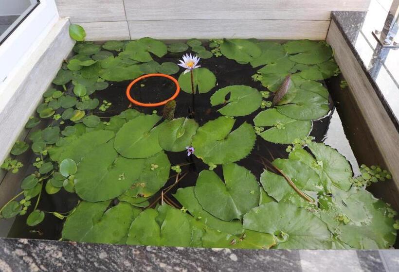 اتاق خانوادگی با چشمانداز دریا, Qli