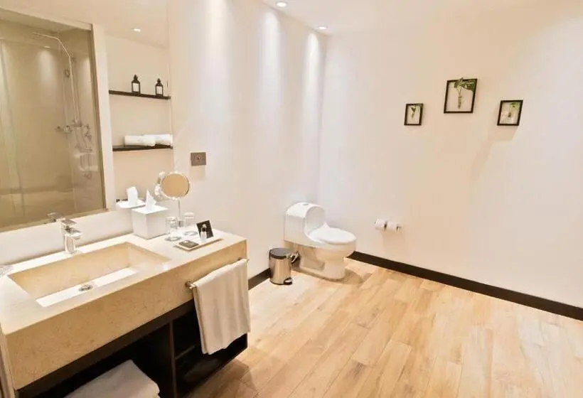 Superior-huone, Sonesta Hotel Bucaramanga