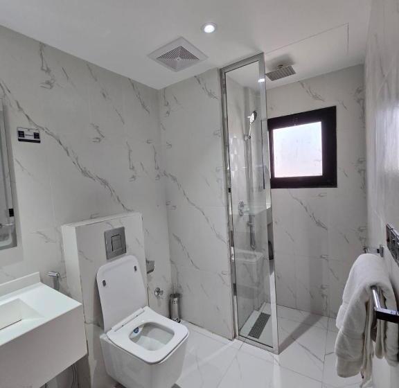 Номер Стандарт Трехместный, فندق الريان الفضي