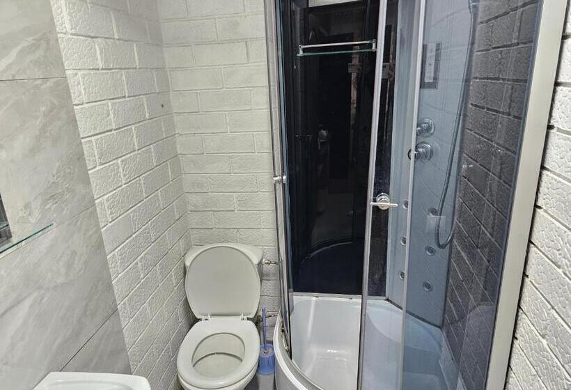 آپارتمان 1 خوابه, Bucuresti Studio