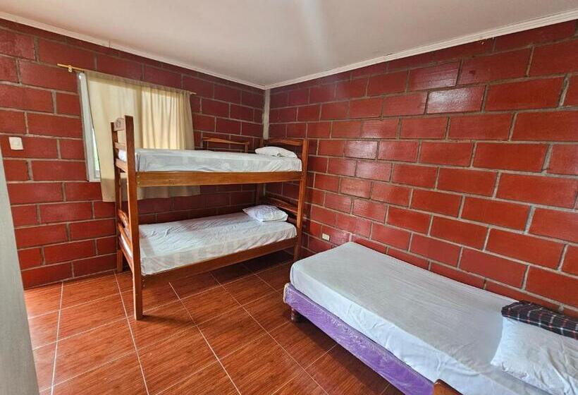 غرفة عائلية, Camping Hostel