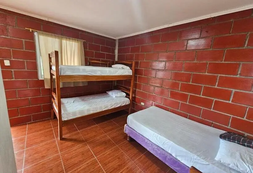 ファミリールーム, Camping Hostel
