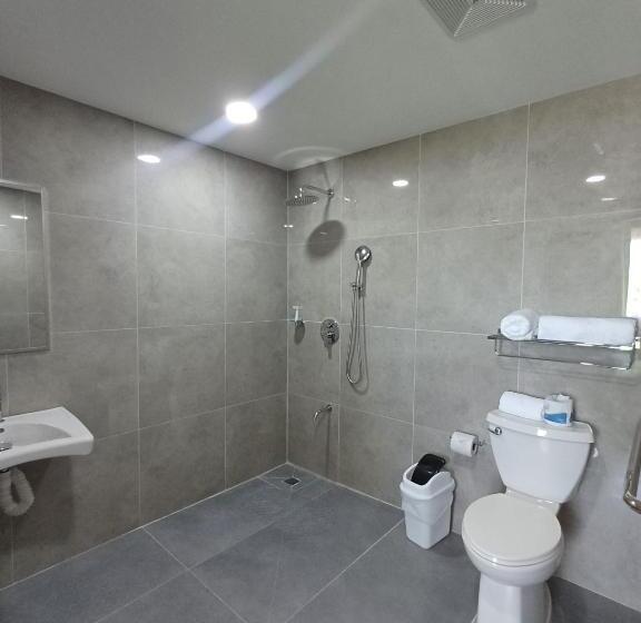 غرفة قياسية لذوى الاحتياجات الخاصة, Puerto Limón Cr