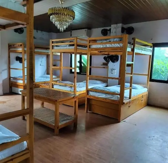 Lit en Chambre Commune, Jungle By Sturmfrei Pushkar