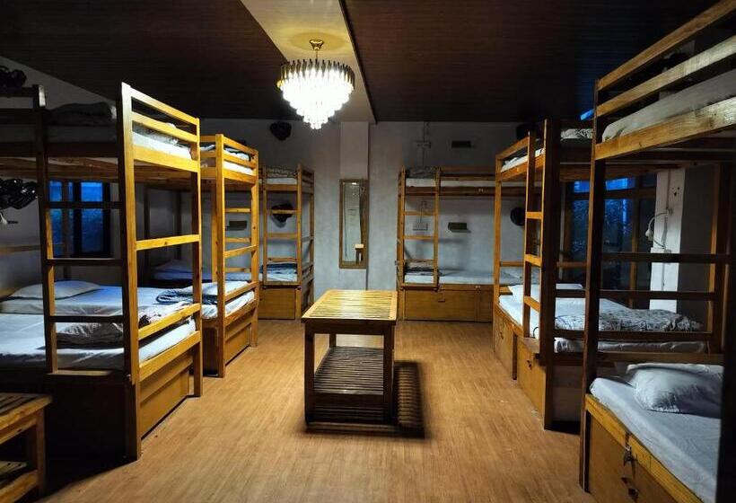 تختخواب در اتاق مشترک, Jungle By Sturmfrei Pushkar