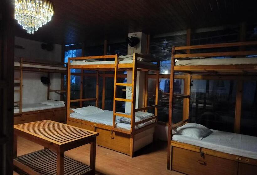 تختخواب در اتاق مشترک, Jungle By Sturmfrei Pushkar