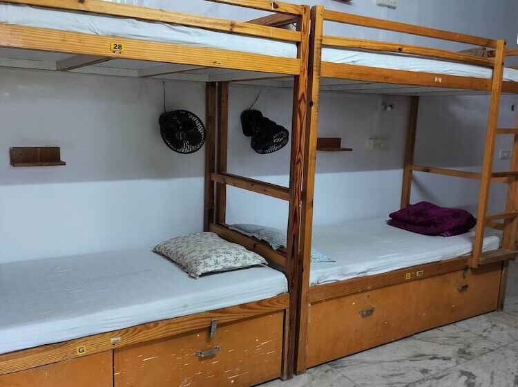 تختخواب در اتاق مشترک, Jungle By Sturmfrei Pushkar