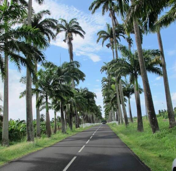 آپارتمان 1 خوابه با چشمانداز استخر, Les Jardins Des Balisiers