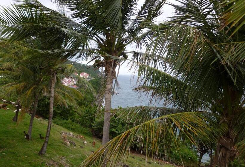 آپارتمان 1 خوابه با چشمانداز استخر, Les Jardins Des Balisiers