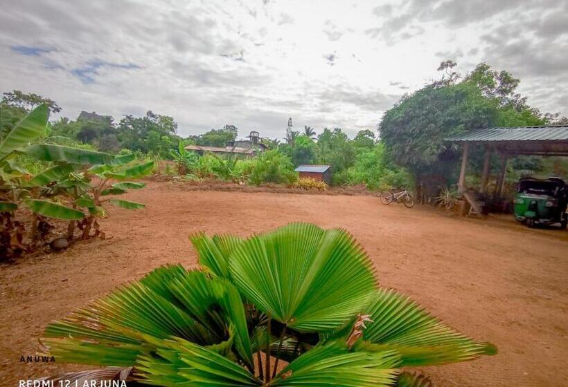 スタンダードトリプルルーム, Travels First Sigiriya Hostel