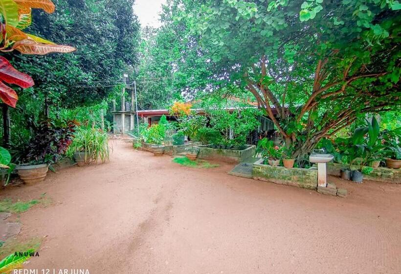 スタンダードトリプルルーム, Travels First Sigiriya Hostel