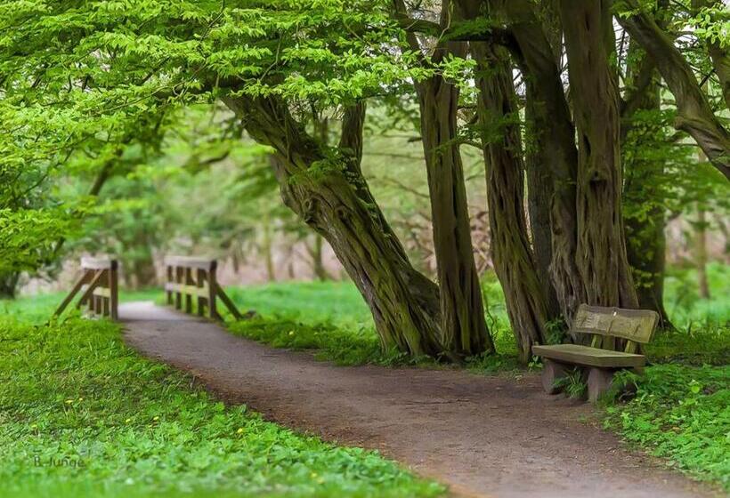 Номер Комфорт, Am Huntepadd