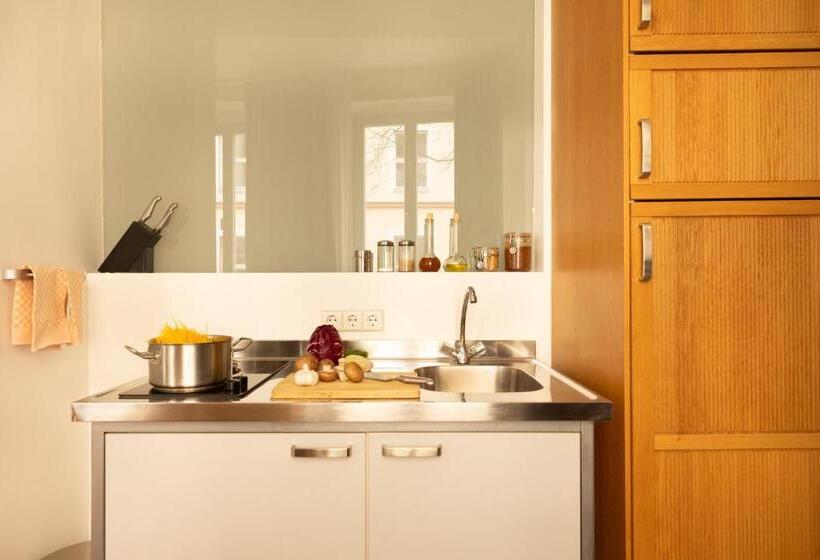 استودیوی استاندارد, Miniloft Apartment